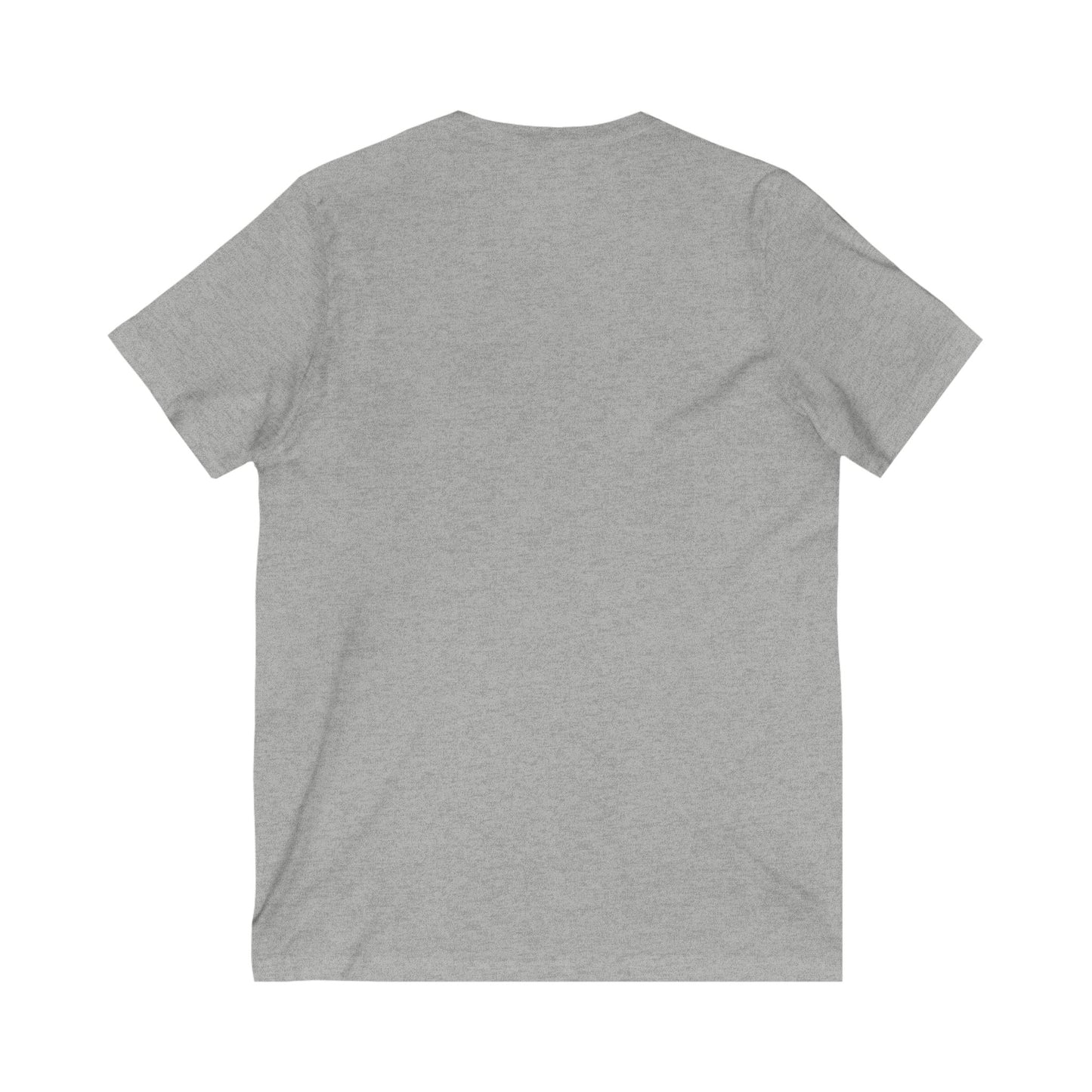 Detroit University District V-Neck Tee