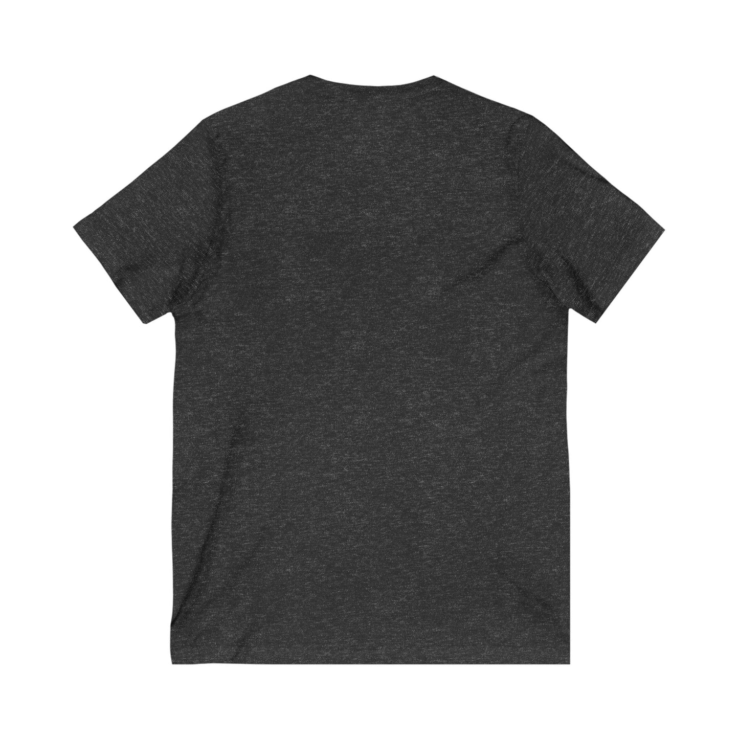 Detroit University District V-Neck Tee
