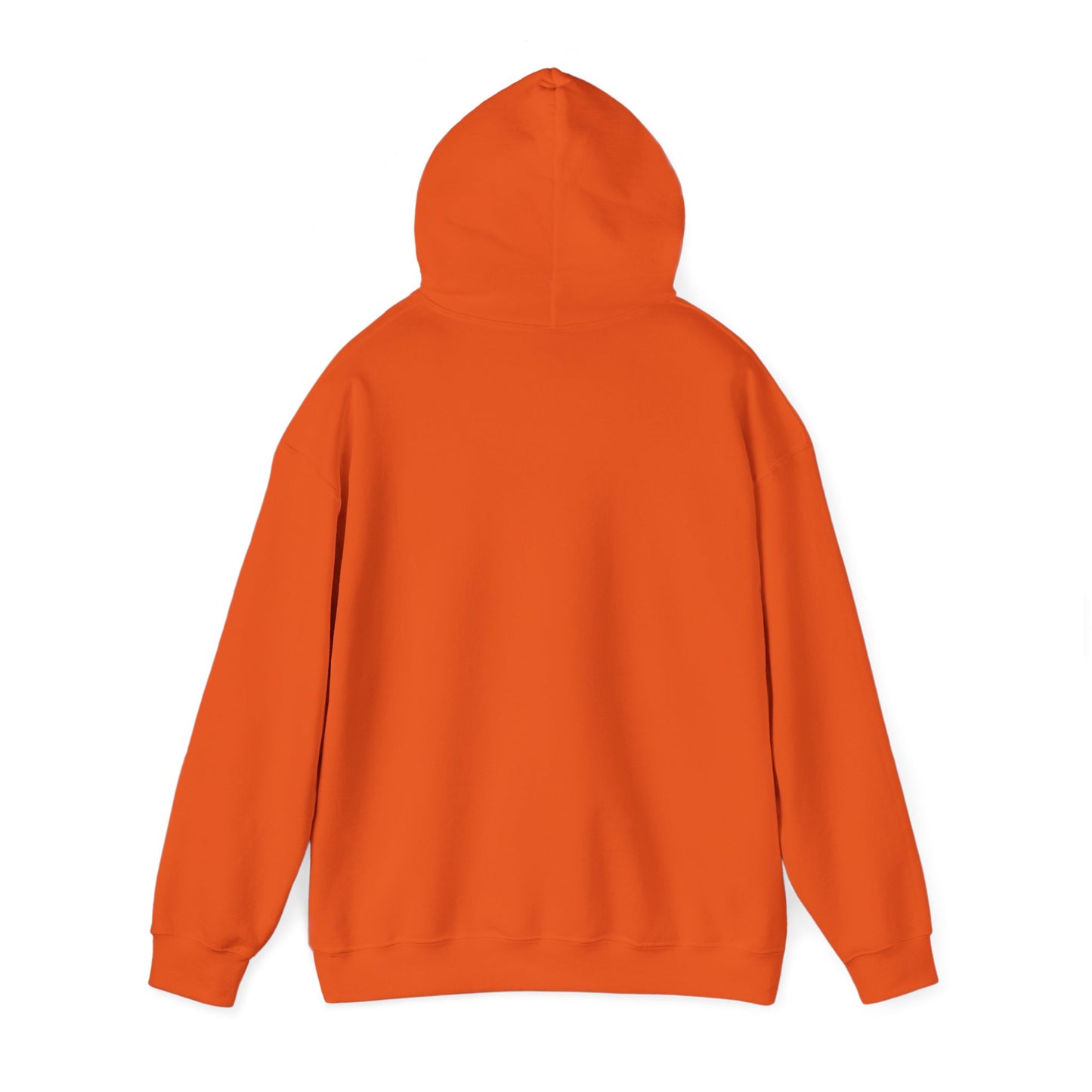 Detroit Roar City - Playful Tiger Graphic Hoodie