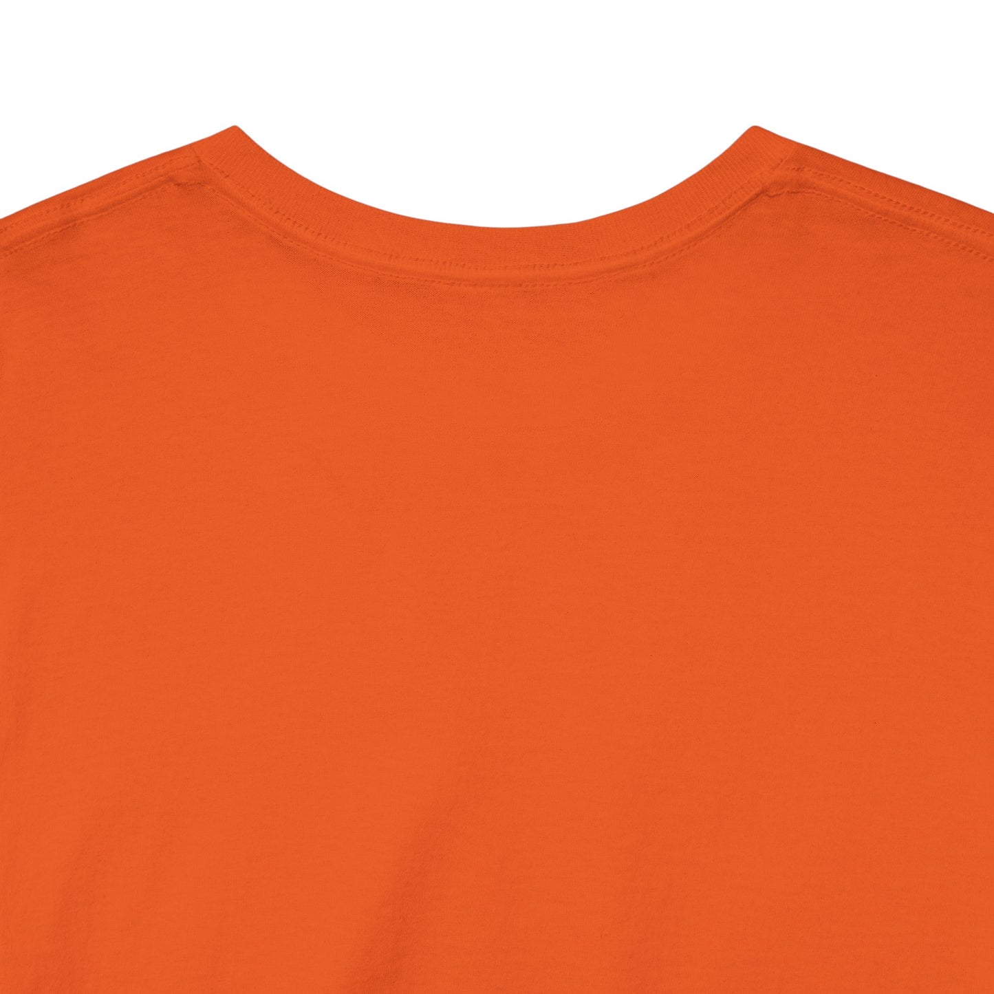 Detroit Roar City Unisex Tee