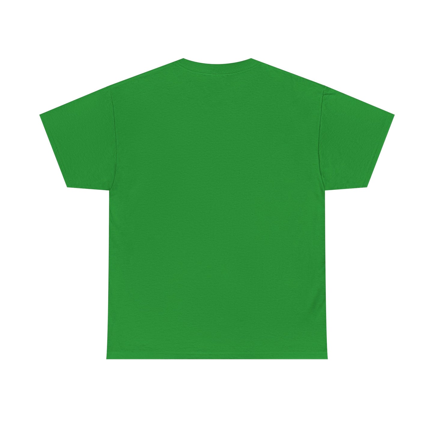 Detroit Roar City Unisex Tee