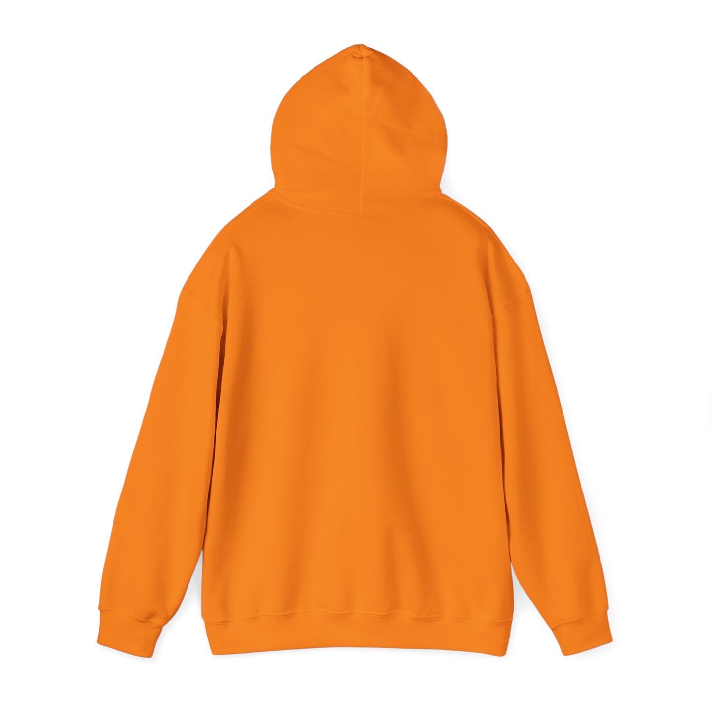 Detroit Roar City - Playful Tiger Graphic Hoodie