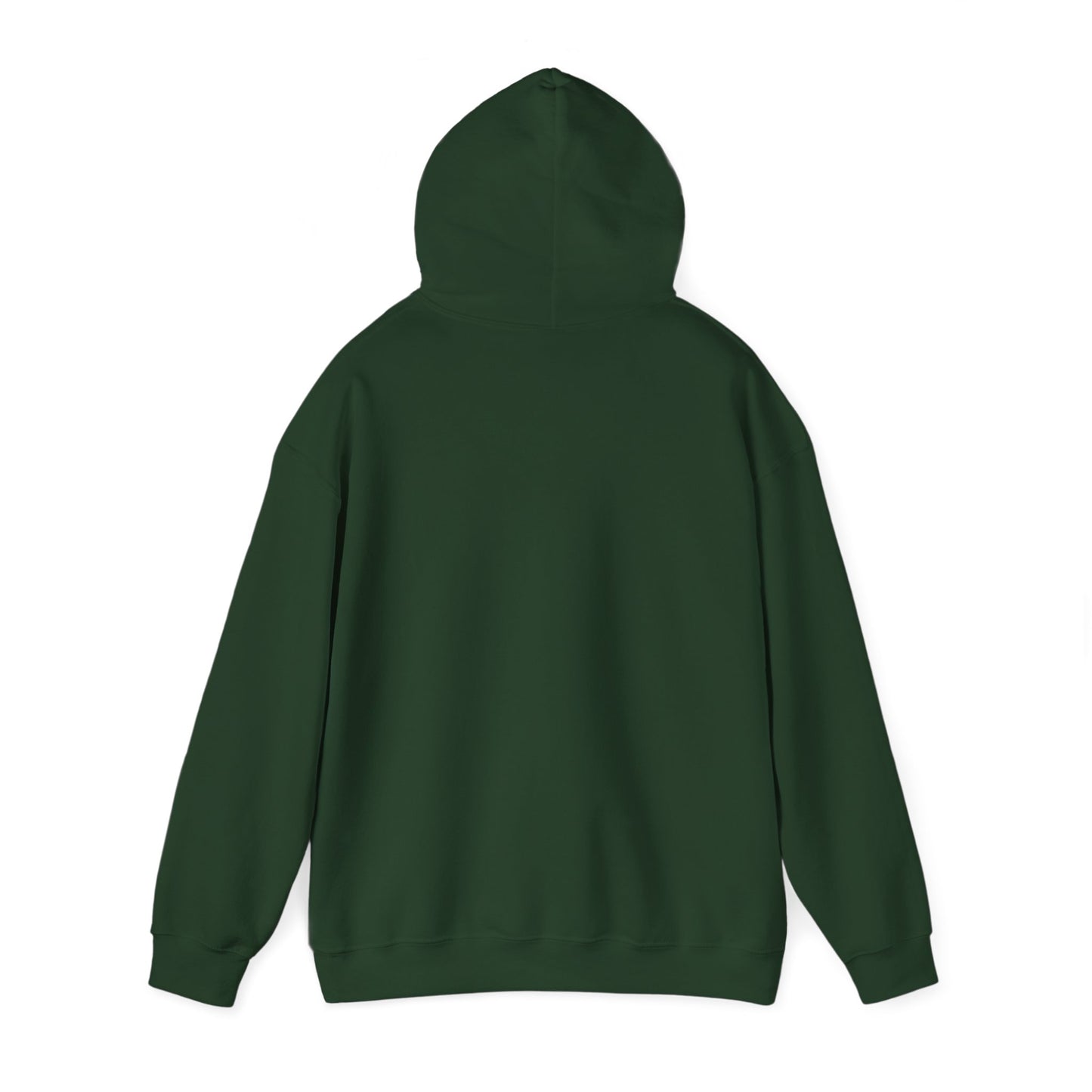 Detroit Roar City - Playful Tiger Graphic Hoodie