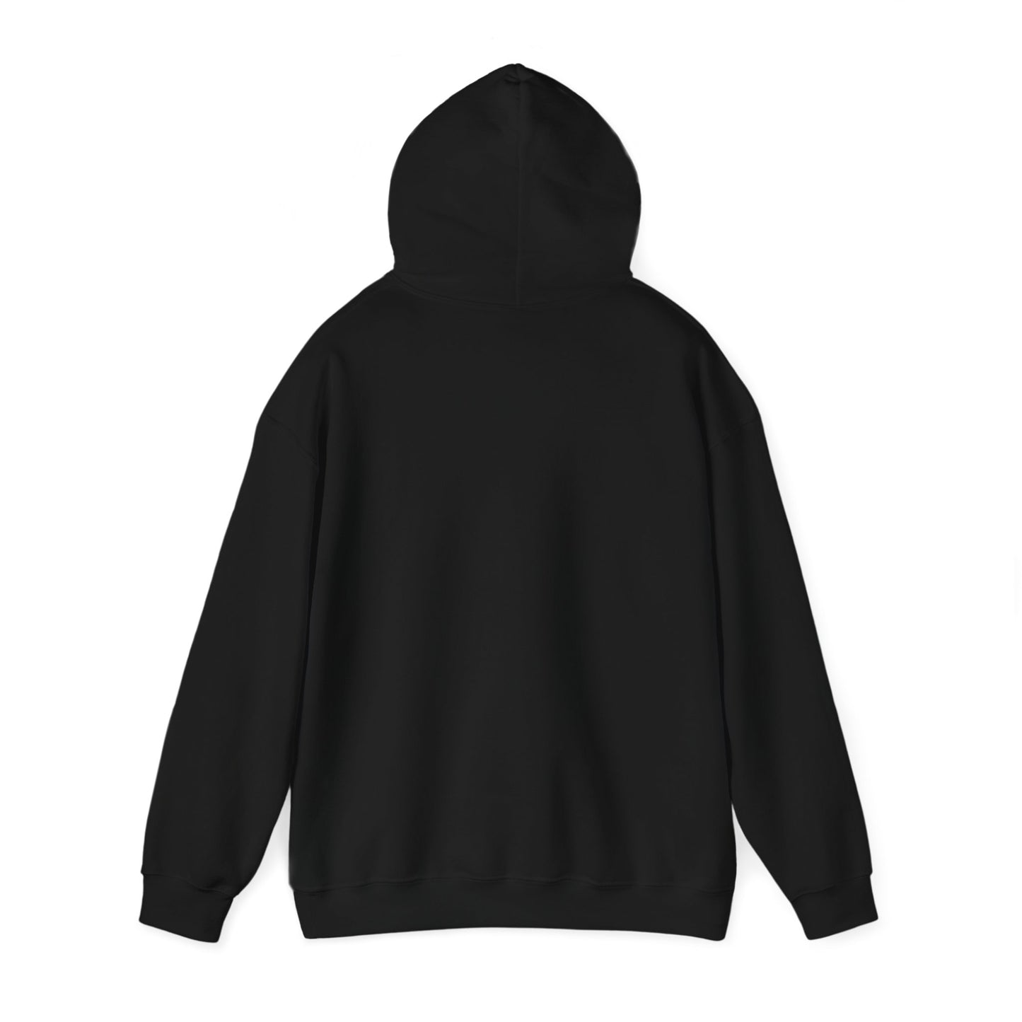 Detroit Roar City - Playful Tiger Graphic Hoodie