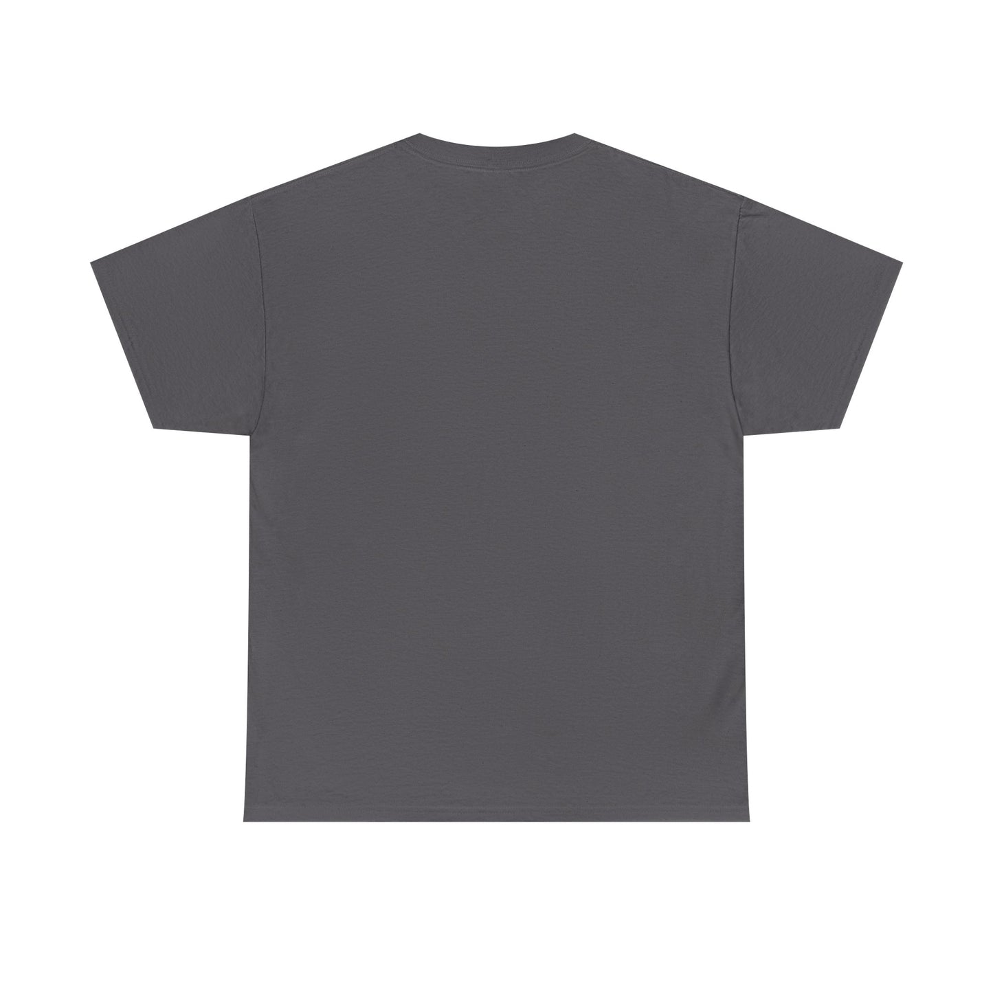 Detroit Roar City Unisex Tee