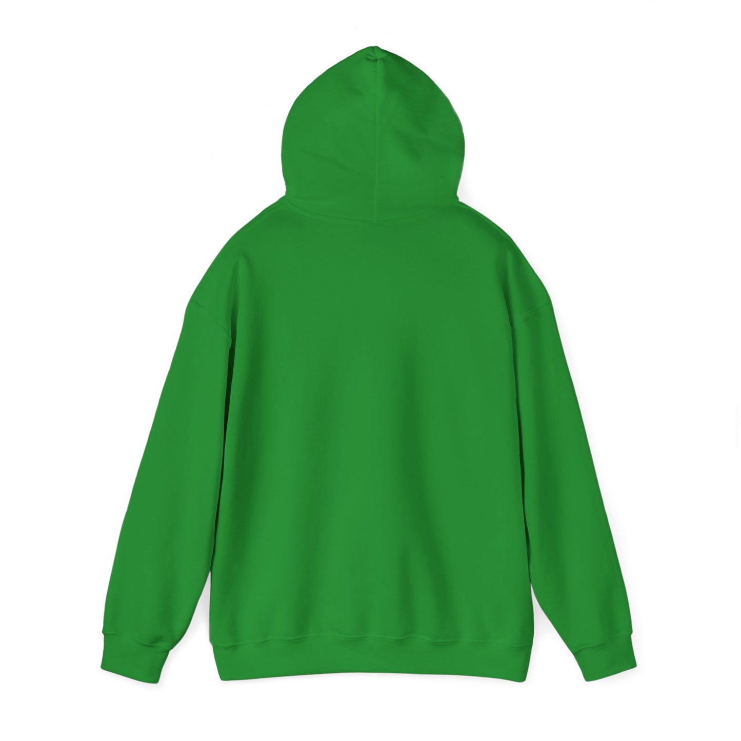 Detroit Roar City - Playful Tiger Graphic Hoodie