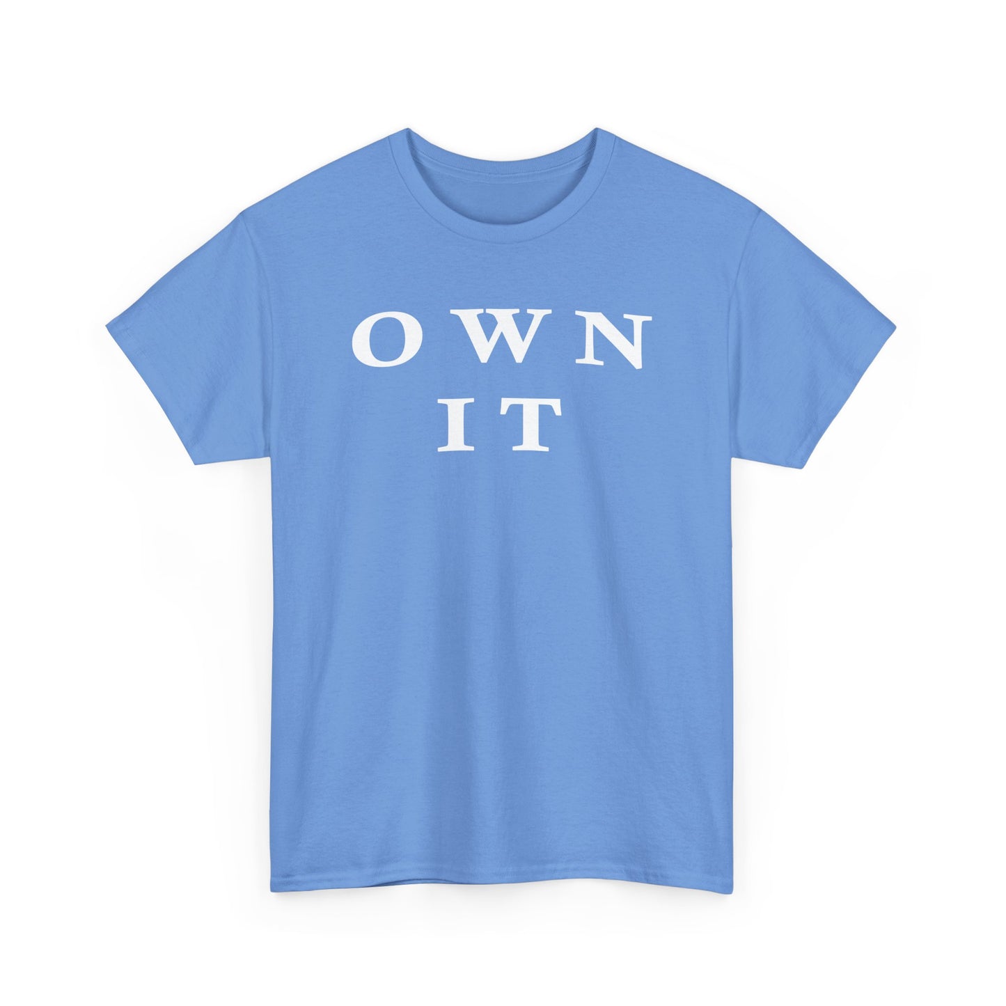 "Own It" Unisex Tee, Birthday Gift, Everyday Wear, Casual Style, Unisex Cotton Shirt