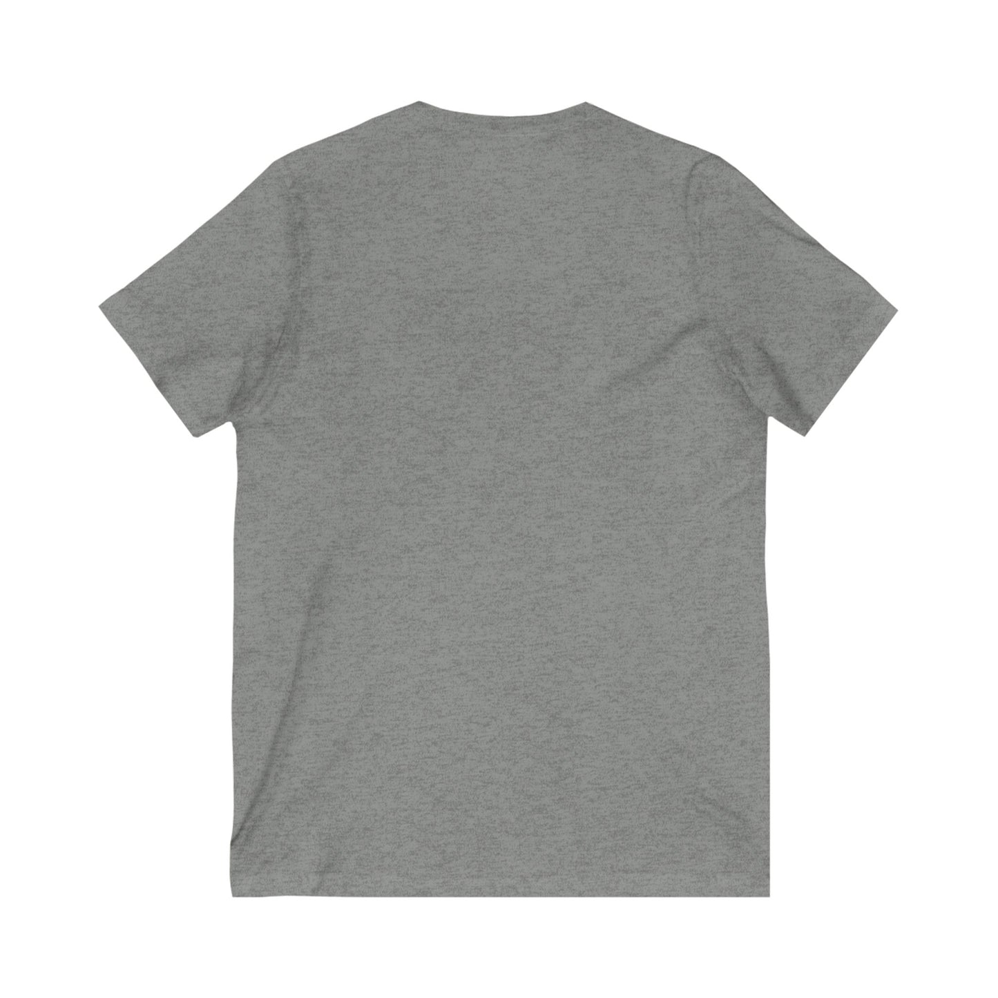 Detroit University District V-Neck Tee