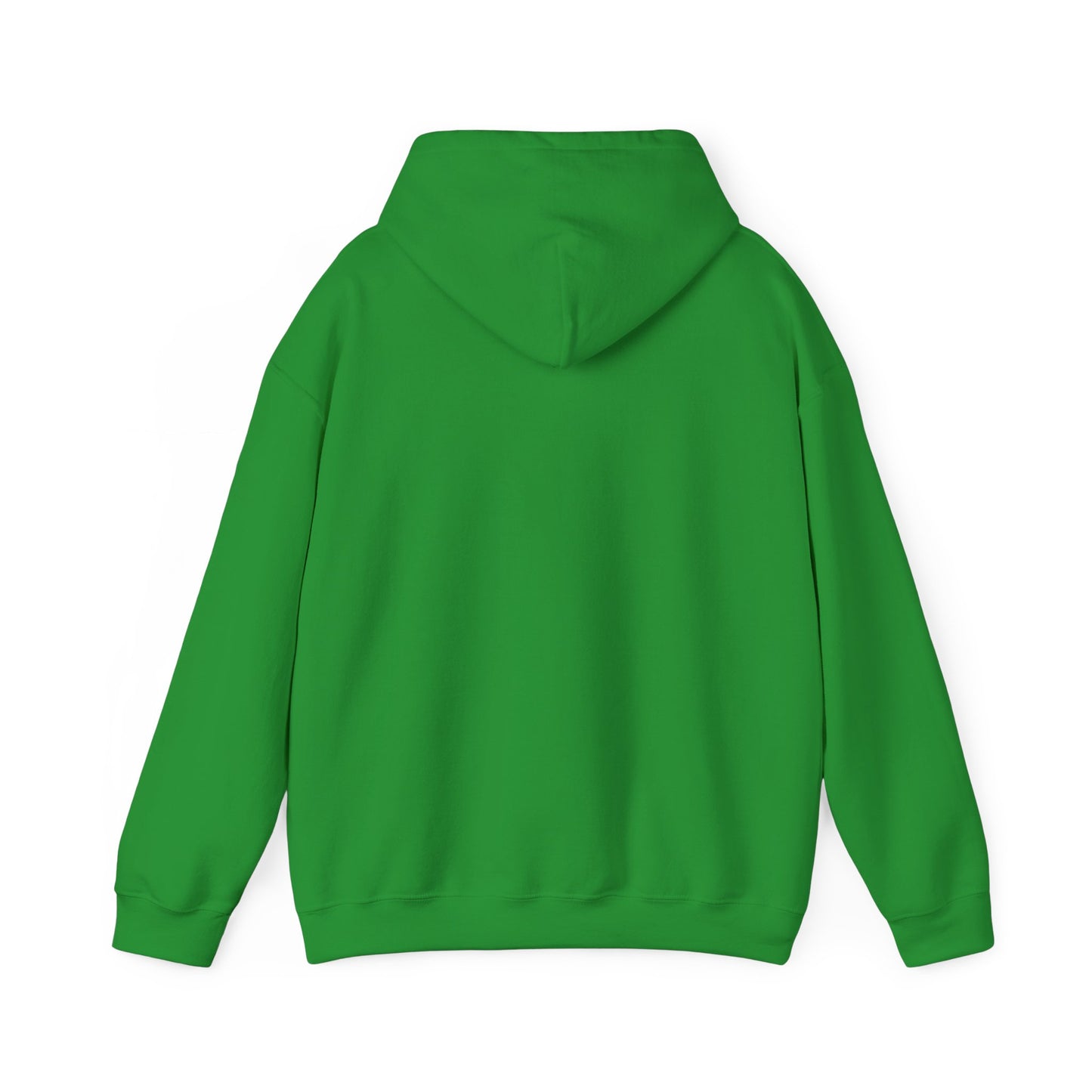 Detroit Roar City - Playful Tiger Graphic Hoodie