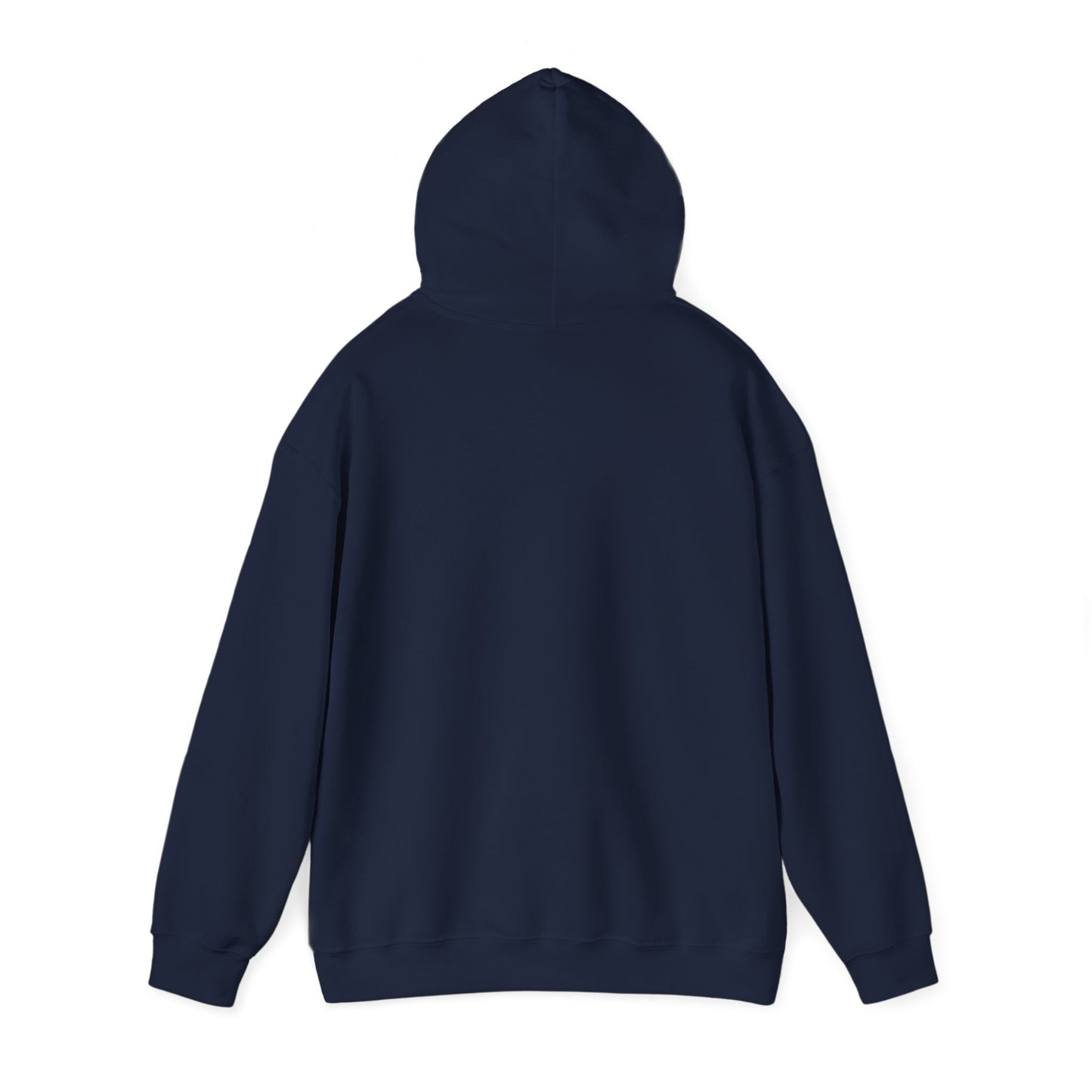 Detroit Roar City - Playful Tiger Graphic Hoodie