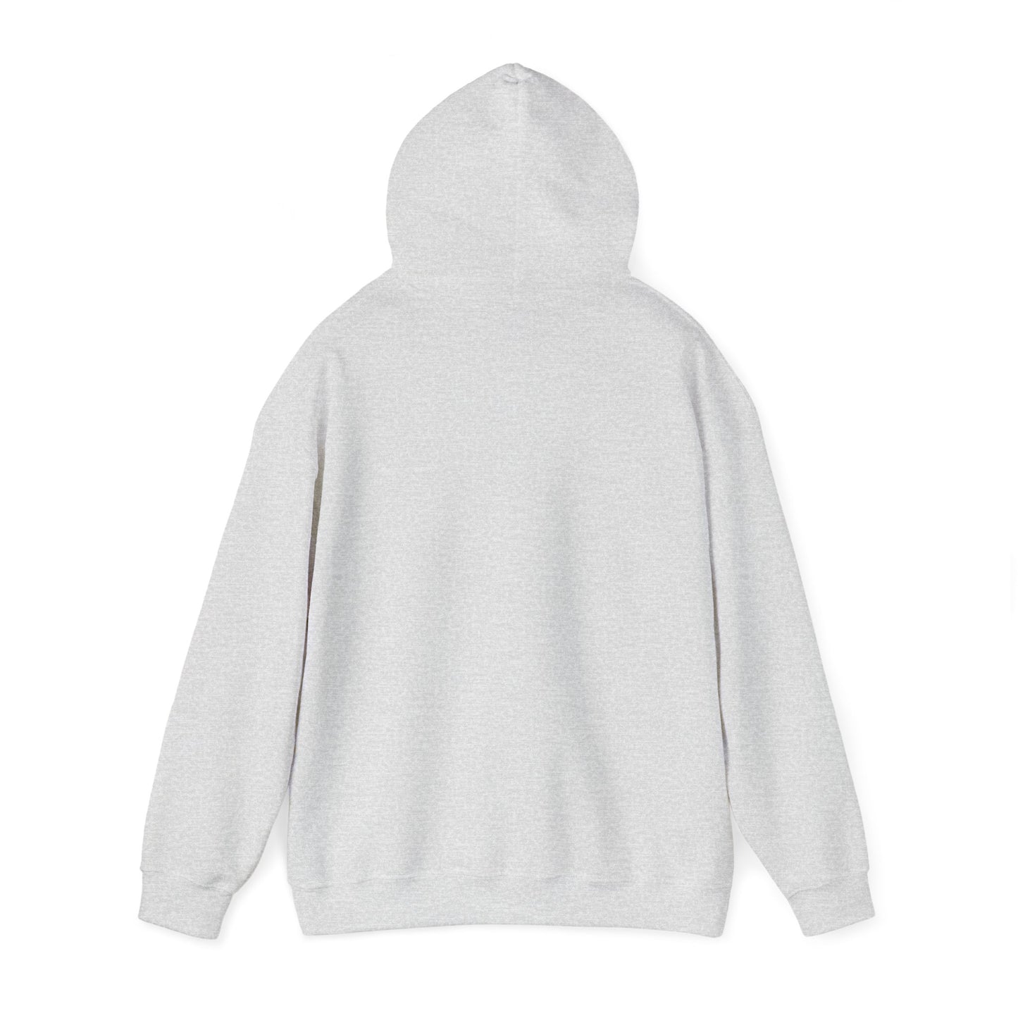 Detroit Roar City - Playful Tiger Graphic Hoodie