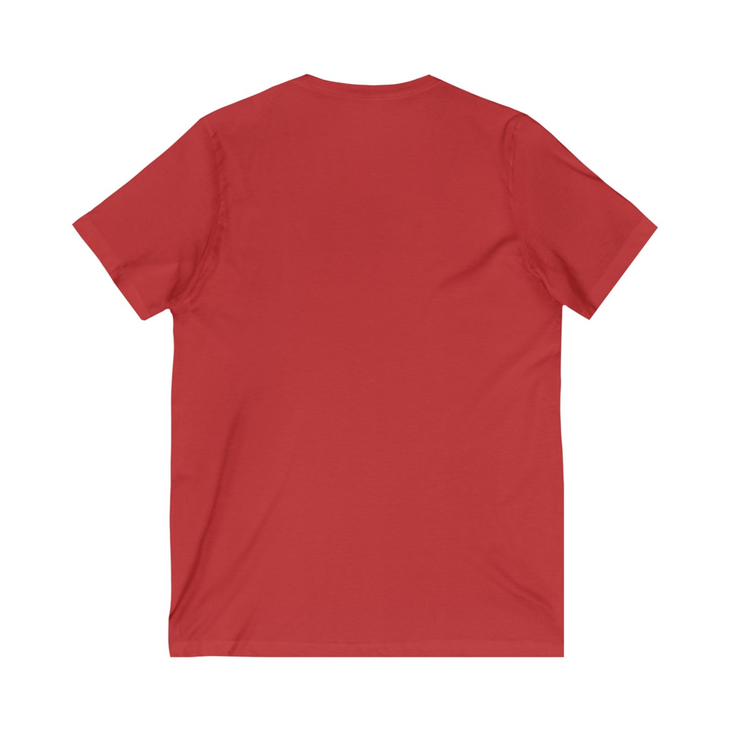 Detroit University District V-Neck Tee