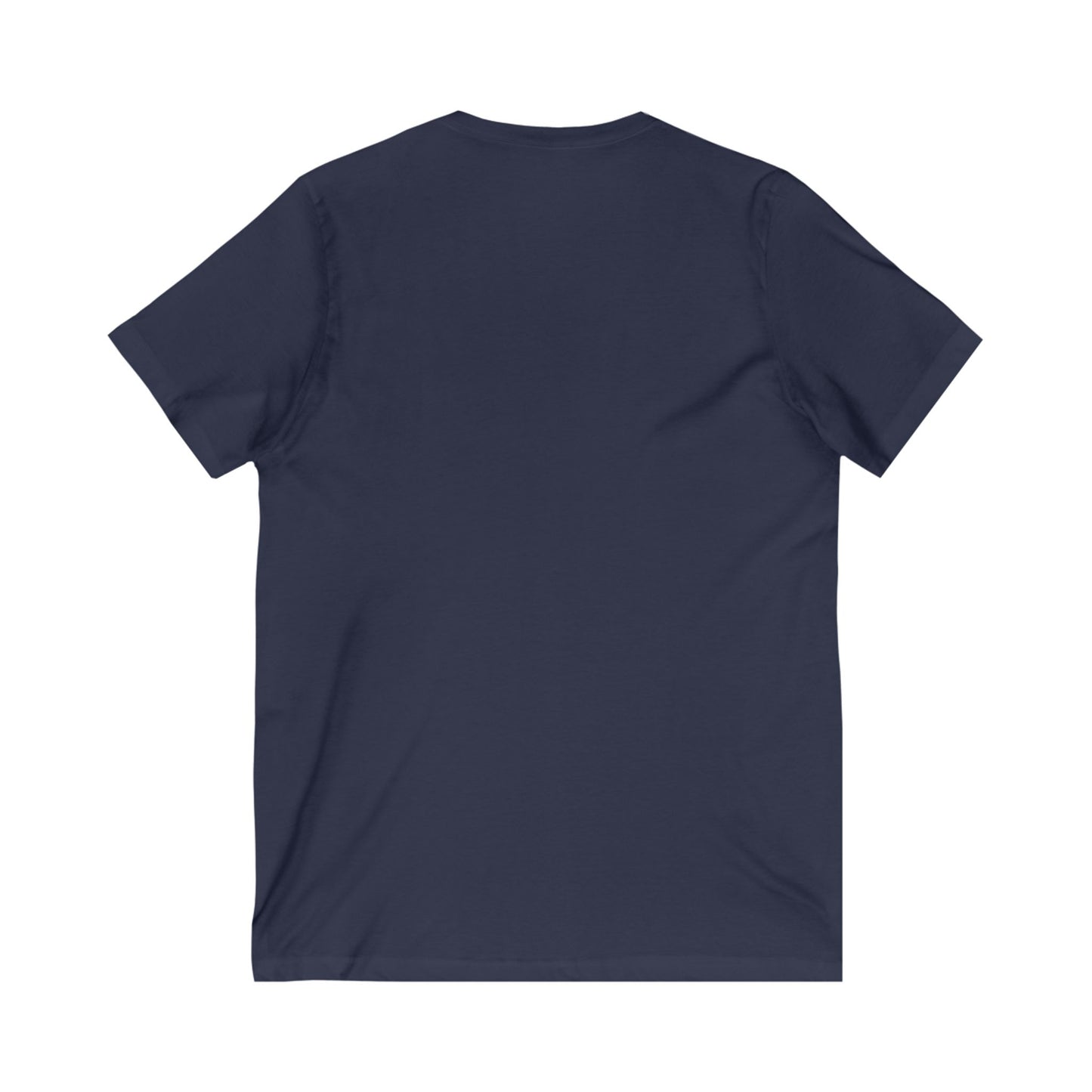 Detroit University District V-Neck Tee