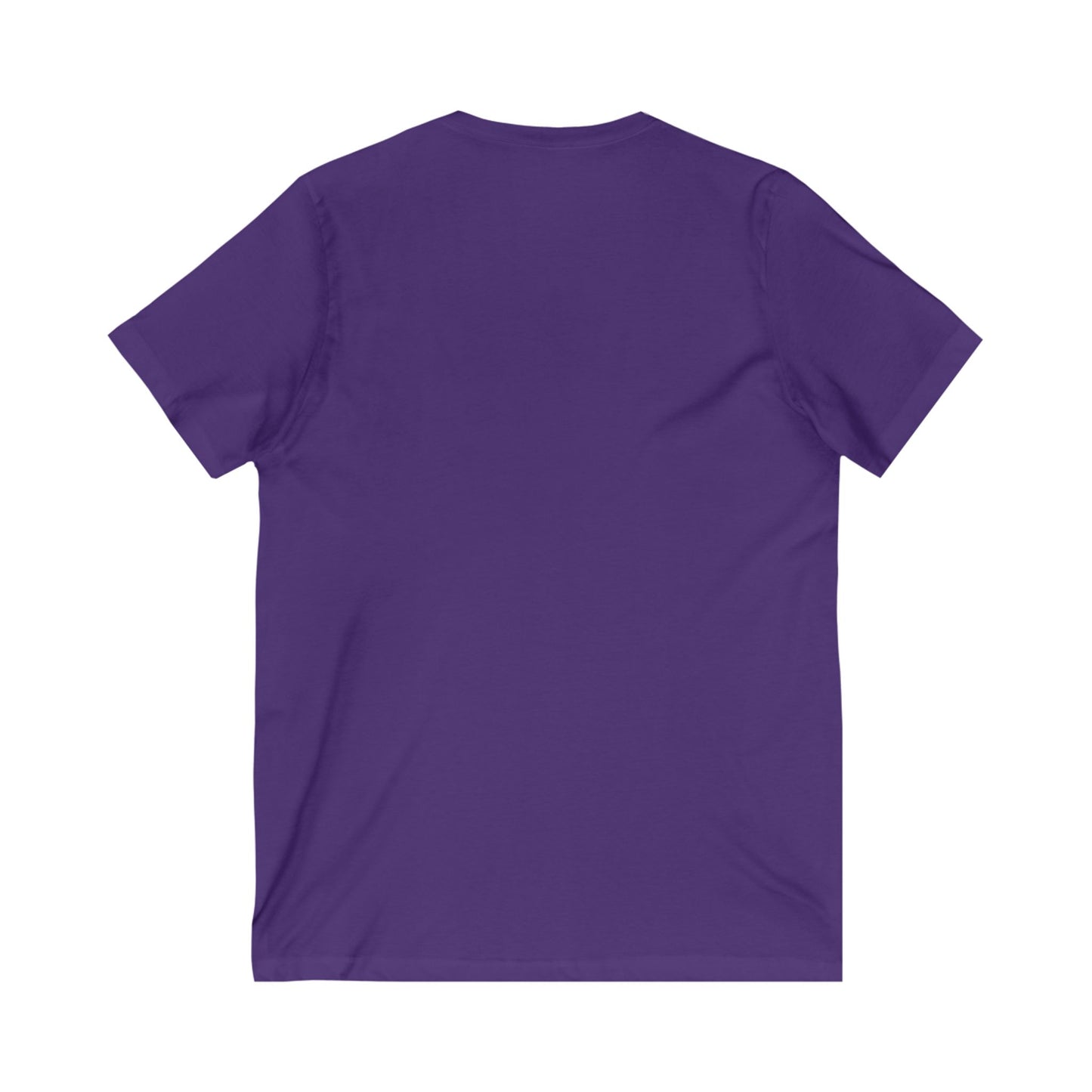 Detroit University District V-Neck Tee