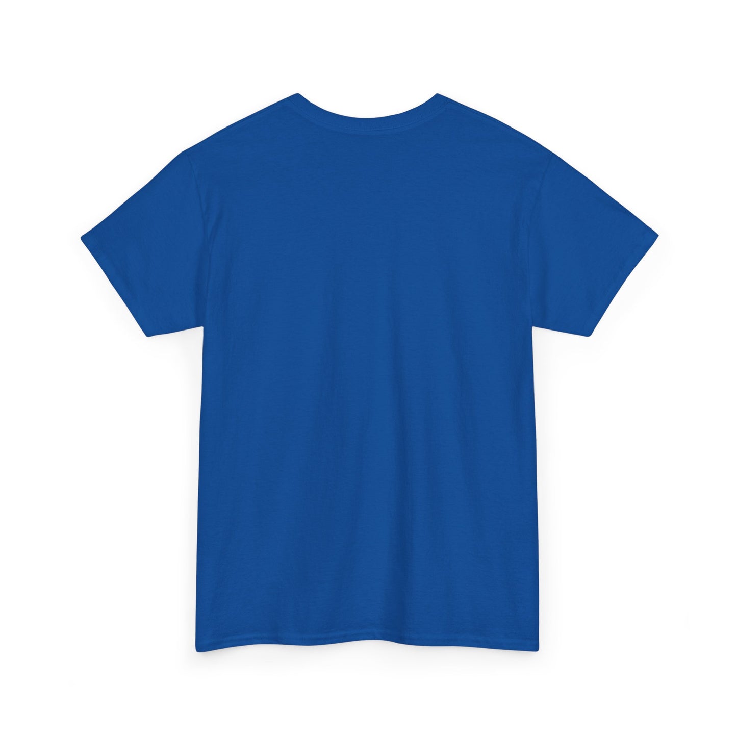 Detroit Roar City Unisex Tee