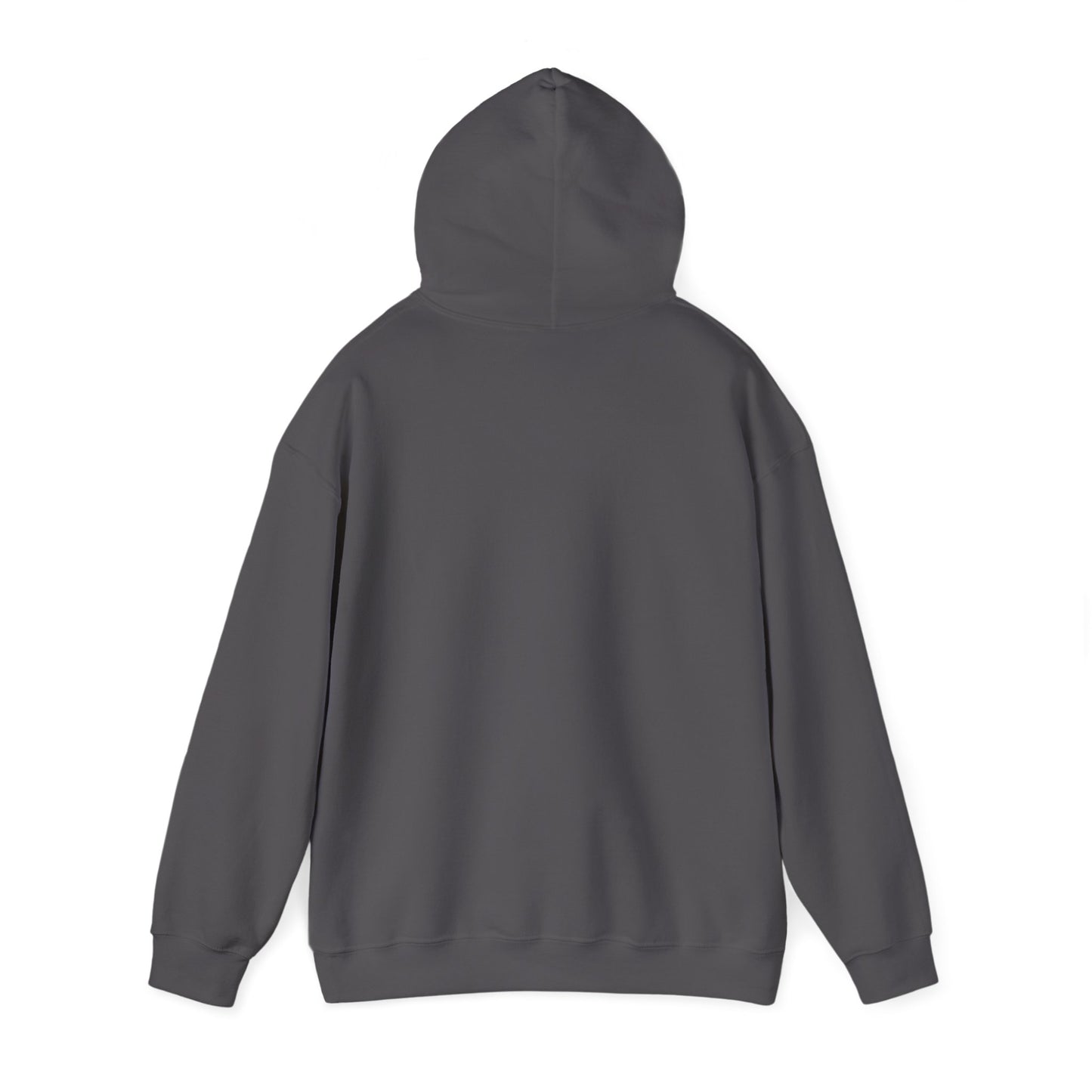 Detroit Roar City - Playful Tiger Graphic Hoodie