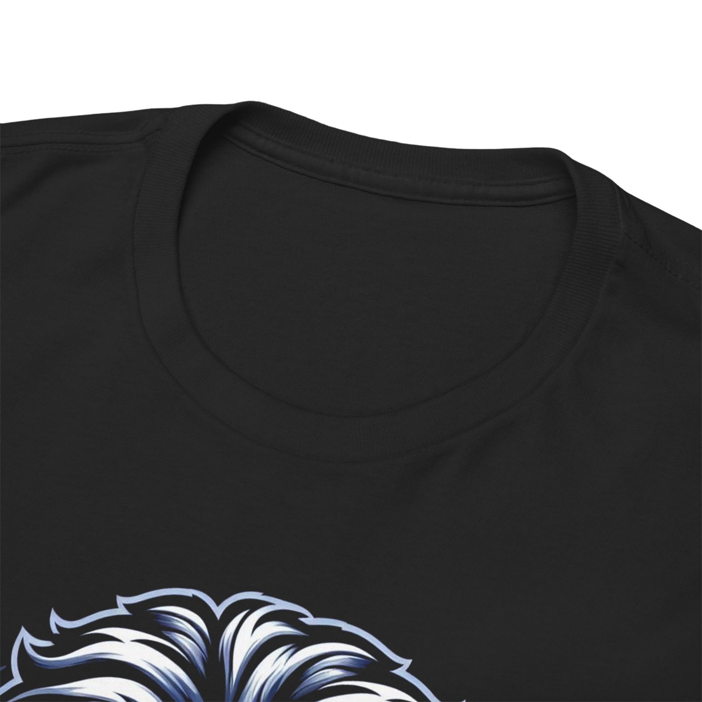Detroit Lions Roar City Tee Shirt!