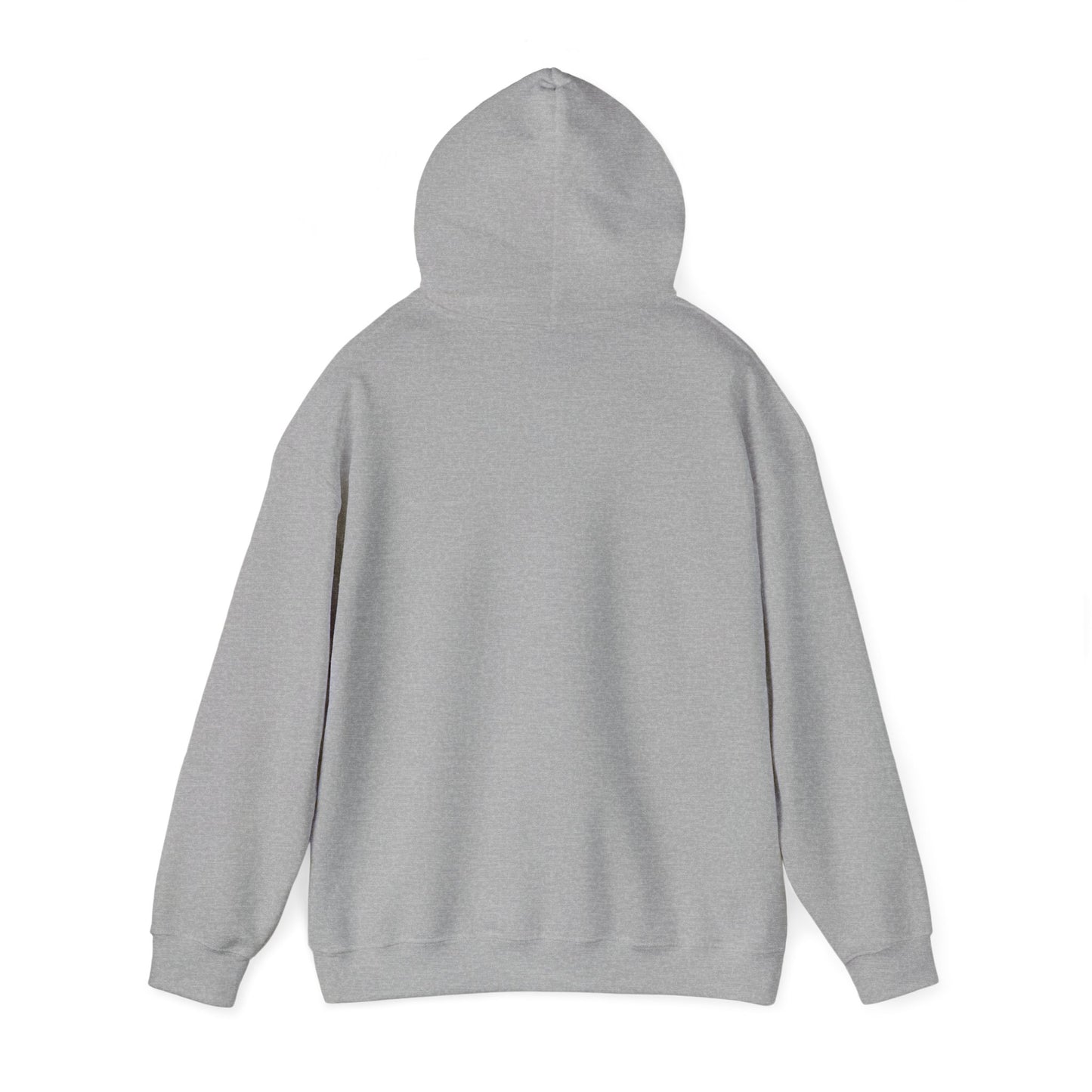Detroit Roar City - Playful Tiger Graphic Hoodie