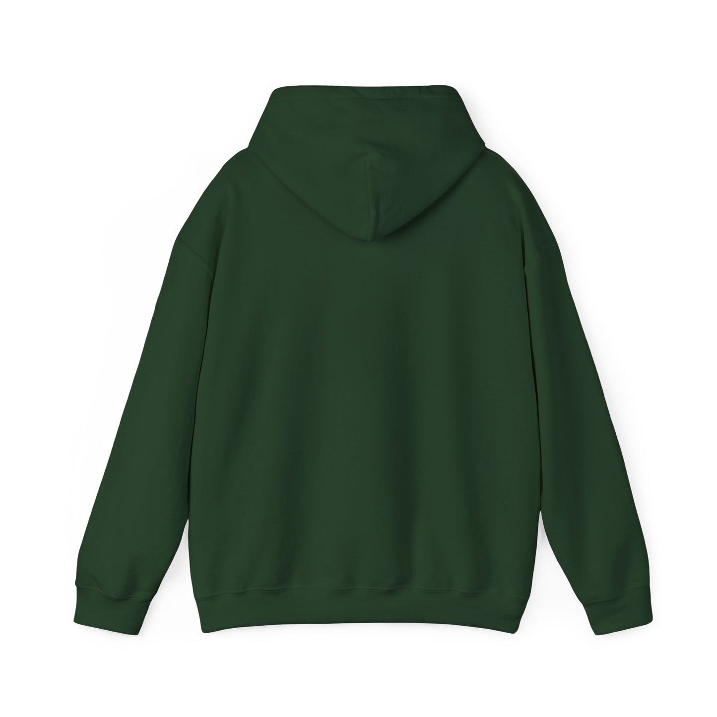 Detroit Roar City - Playful Tiger Graphic Hoodie