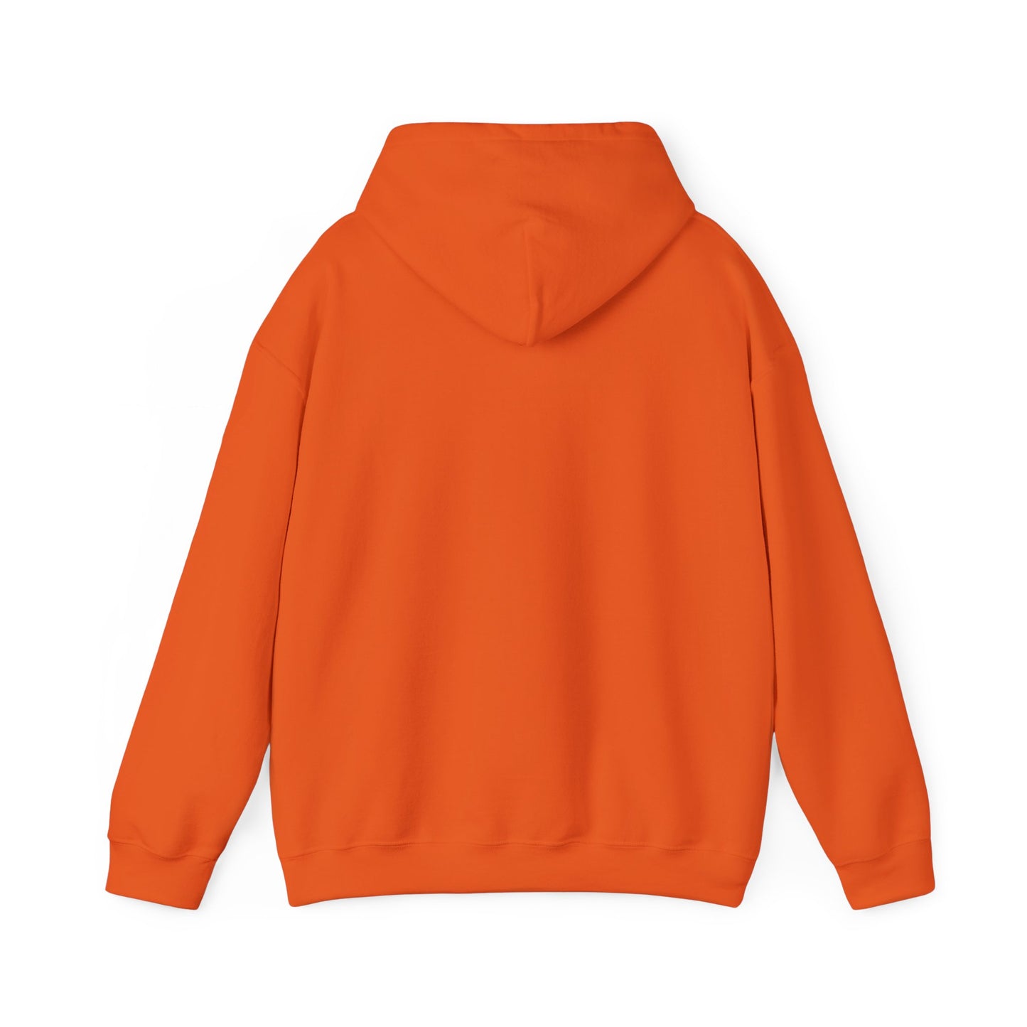 Detroit Roar City - Playful Tiger Graphic Hoodie