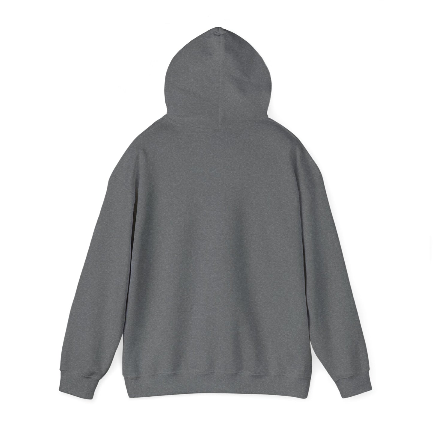 Detroit Roar City - Playful Tiger Graphic Hoodie
