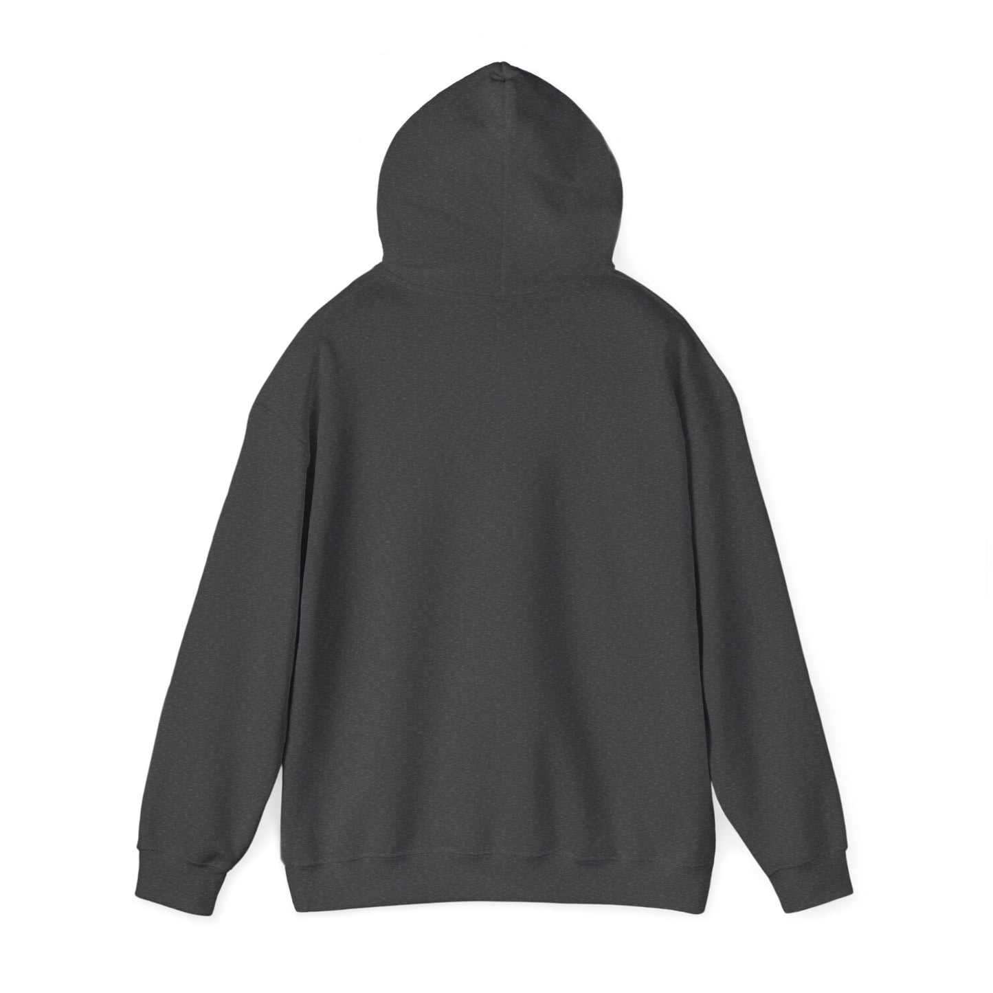 Detroit Roar City - Playful Tiger Graphic Hoodie