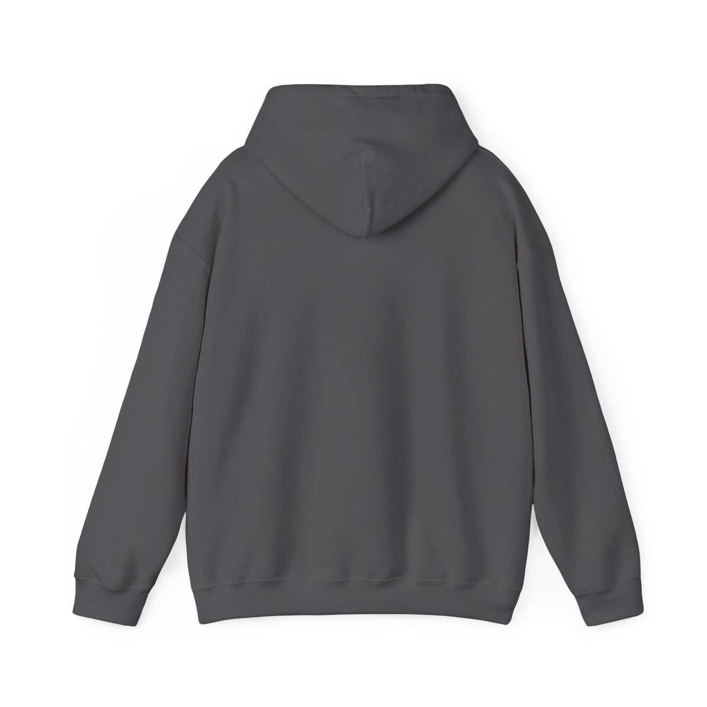 Detroit Roar City - Playful Tiger Graphic Hoodie
