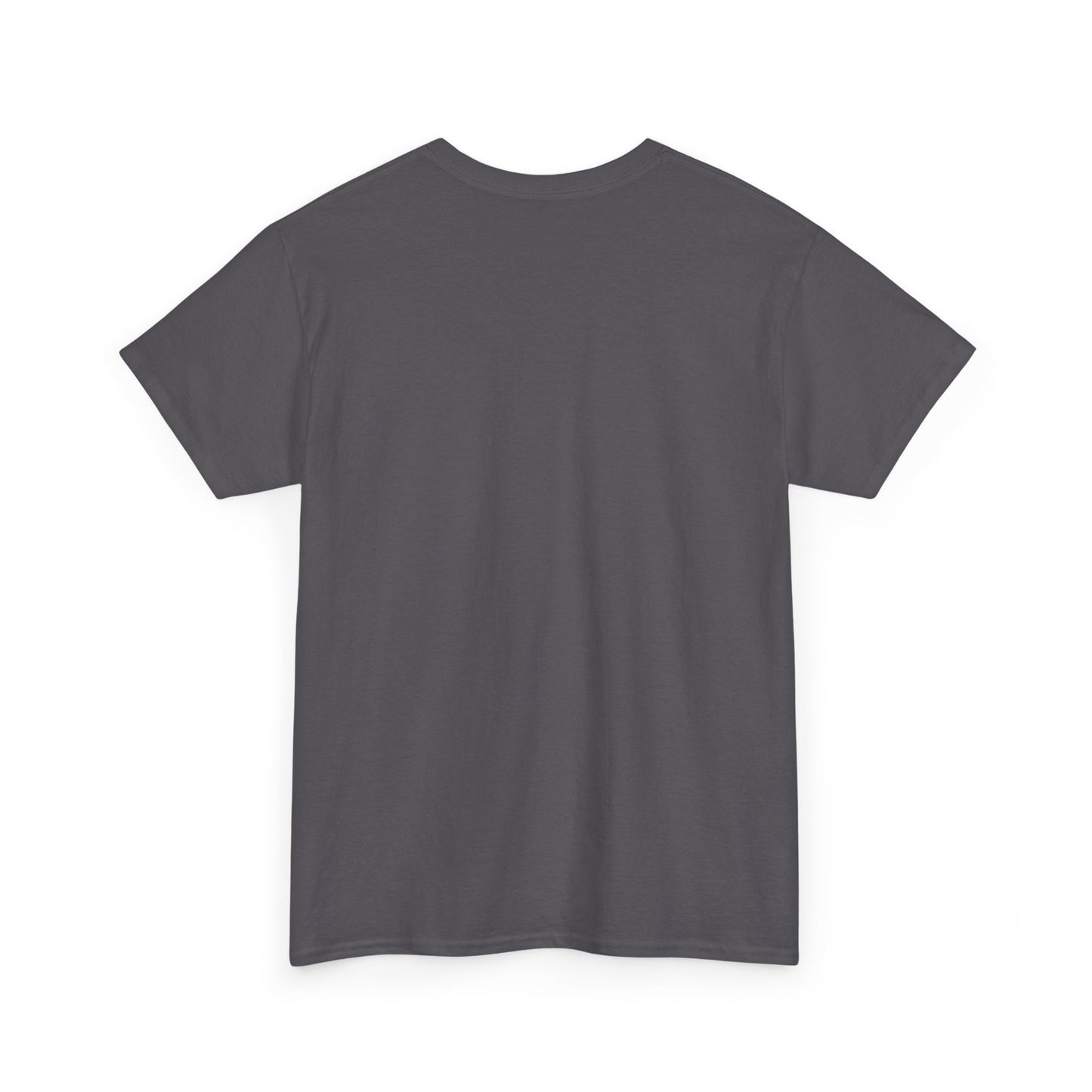 Detroit Roar City Unisex Tee