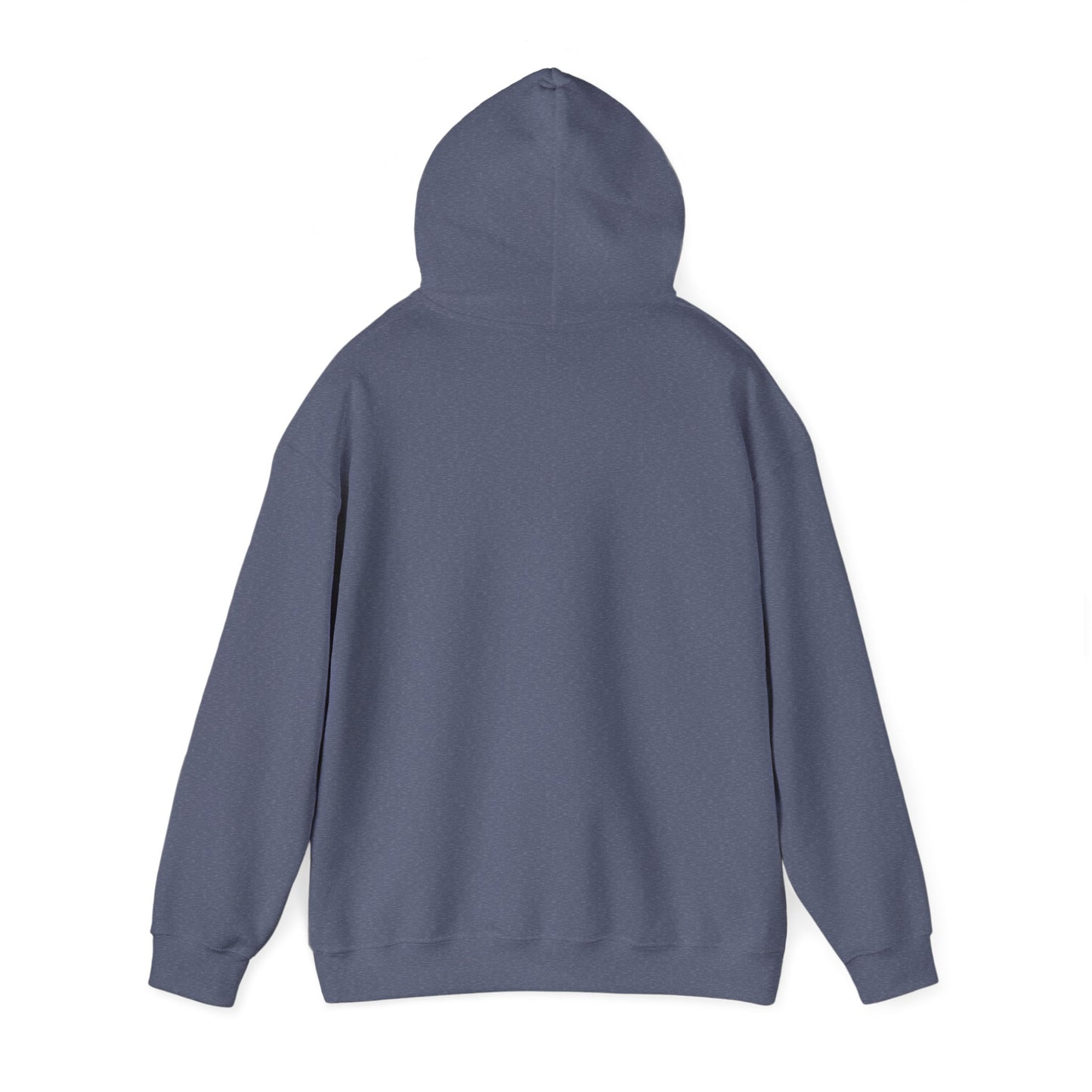 Detroit Roar City - Playful Tiger Graphic Hoodie