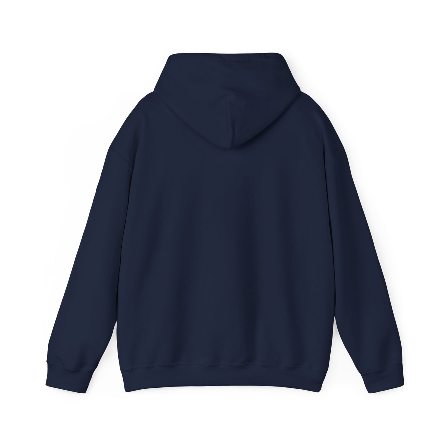 Detroit Roar City - Playful Tiger Graphic Hoodie